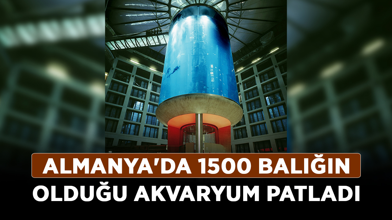 Almanya'da-1500-balığın-olduğu-akvaryum-patladı