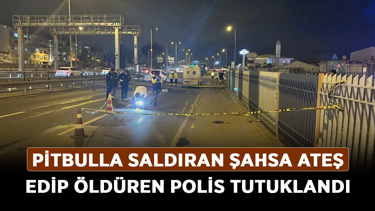 Fatih'te-pitbulla-saldıran-şahsa-ateş-edip-öldüren-polis-tutuklandı