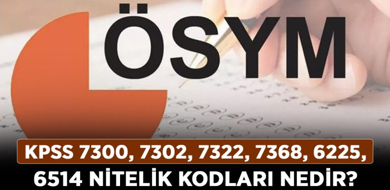 KPSS 7300, 7302, 7322, 7368, 6225, 6514 nitelik kodları nedir? 4502, 4524, 4525, 7300, 3149 nitelik kodları ne demek?