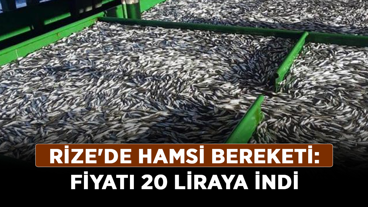 Rize'de-hamsi-bereketi-Fiyatı-20-liraya-indi